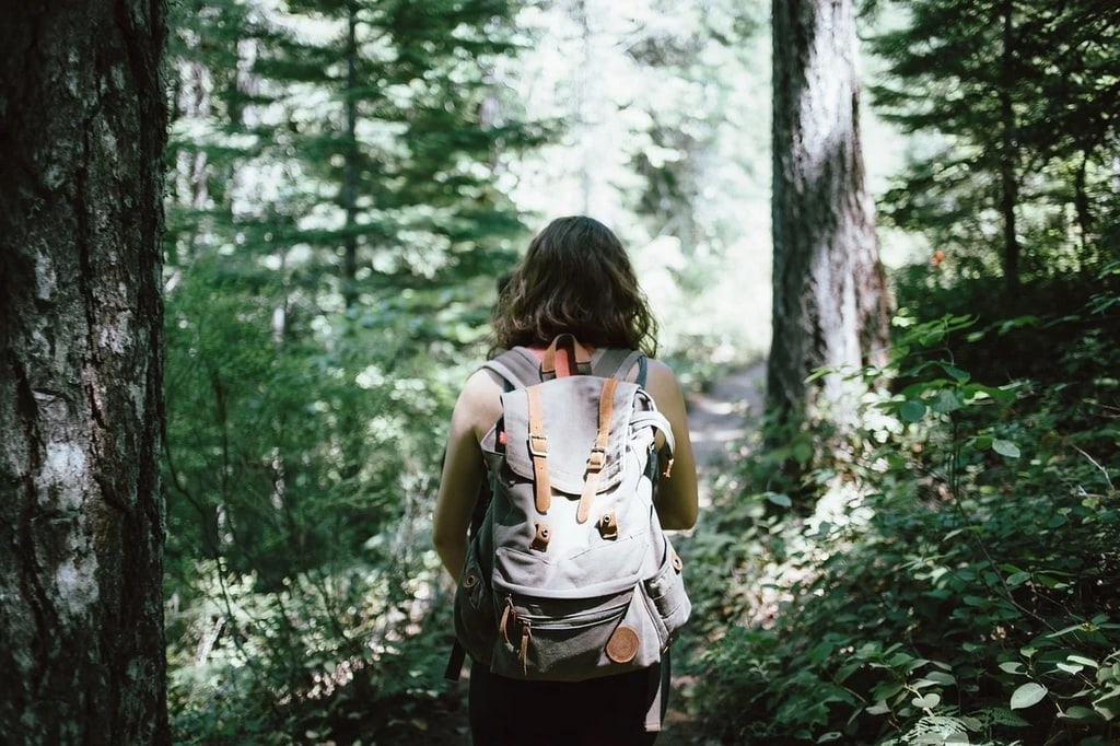 Par-delà les frontières&nbsp;: à la rencontre des cultures et des aventures